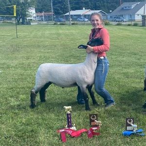 Meet your Posher, Ashley